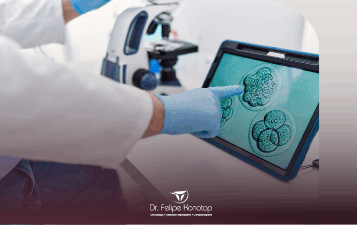 Fertilização In Vitro