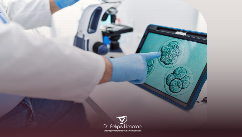 Fertilização In Vitro