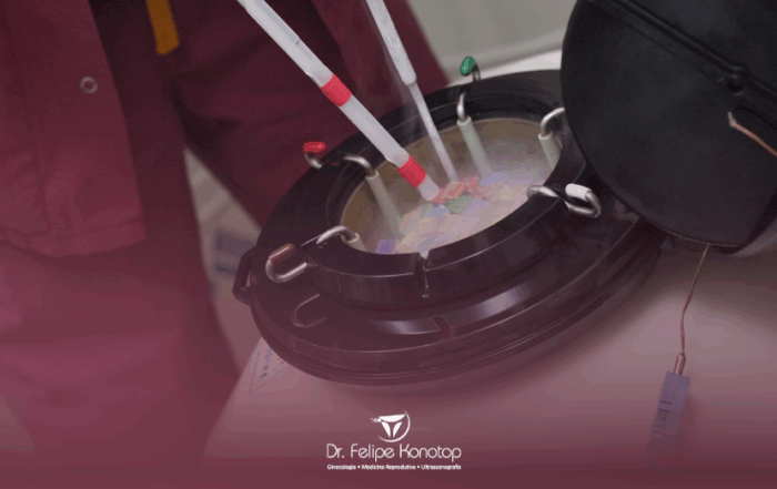 congelamentodeovulos_quandocusta