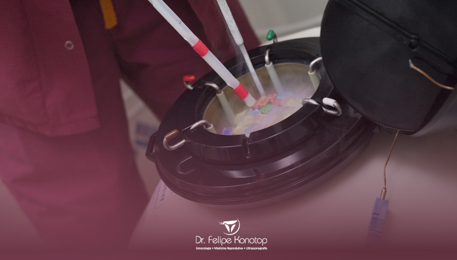 congelamentodeovulos_quandocusta