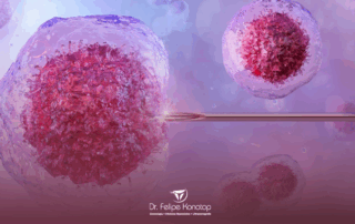 Transferencia de embrioes